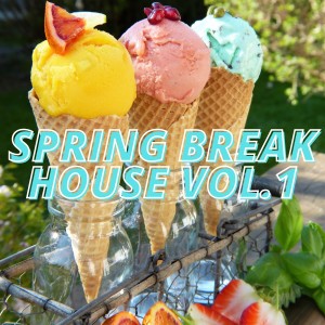 收听Wandy Harroll的One Enjoy (Modern Mix)歌词歌曲