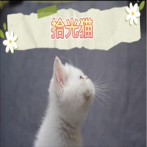 Album 宠物心语 oleh 阿俊Arjun