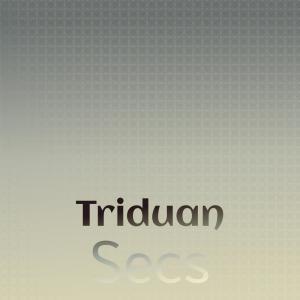 Album Triduan Secs oleh Various