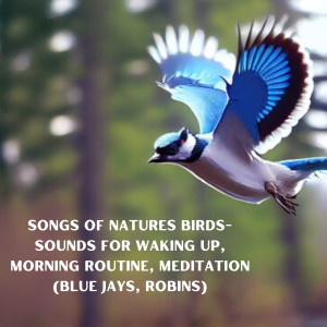 Songs of Natures Birds- Sounds for Waking Up, Morning Routine, Meditation (Blue Jays, Robins) dari Natural Sounds Selections
