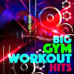 Gym Hits的專輯Big Gym Workout Hits