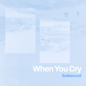 Dengarkan When You Cry lagu dari Sofasound dengan lirik