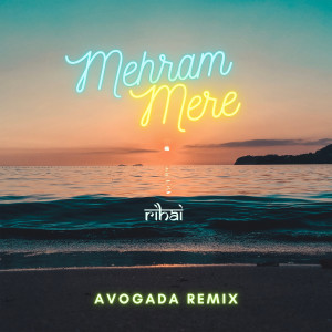 Dengarkan Mehram Mere - Avogada Remix lagu dari Tork dengan lirik