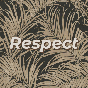 Respect (Explicit)