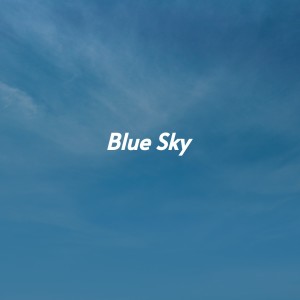 ดาวน์โหลดและฟังเพลง Blue Sky พร้อมเนื้อเพลงจาก The Mantovani Orchestra