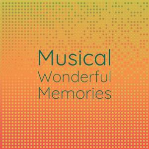 Album Musical Wonderful Memories from Various