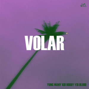 อัลบัม Volar ศิลปิน Various