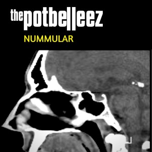 อัลบัม Nummular ศิลปิน The Potbelleez