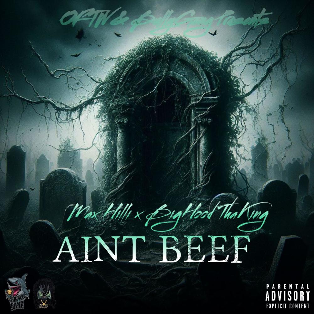 Aint Beef (feat. Max Hilli) (Explicit)