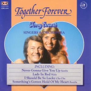 收聽Tony Evans的Together Forever歌詞歌曲