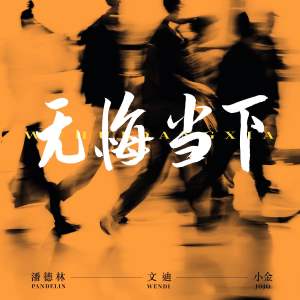 收聽潘德林的無悔當下 (DJ沈念Remix)歌詞歌曲