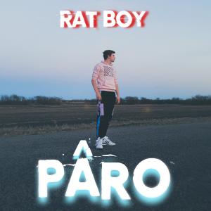 Listen to 152 : 148 song with lyrics from Rat Boy
