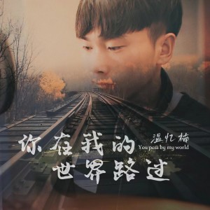 Listen to 你在我的世界路过 (伴奏) song with lyrics from 温忆楠