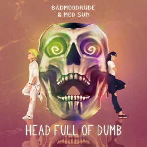 Listen to Head Full of Dumb song with lyrics from BadMoodRude