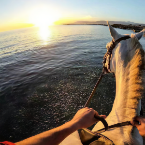 Album Drive Forever (Remix) from 超燃（0.8x）