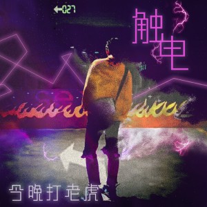 收听今晚打老虎的触电歌词歌曲