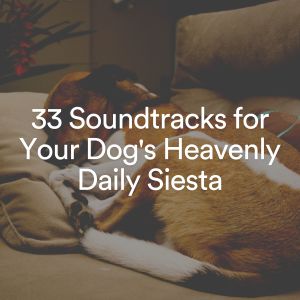 Album 33 Soundtracks for Your Dog's Heavenly Daily Siesta oleh Calming Music For Pets