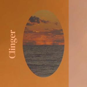ดาวน์โหลดและฟังเพลง Clinger พร้อมเนื้อเพลงจาก Lize Yankel