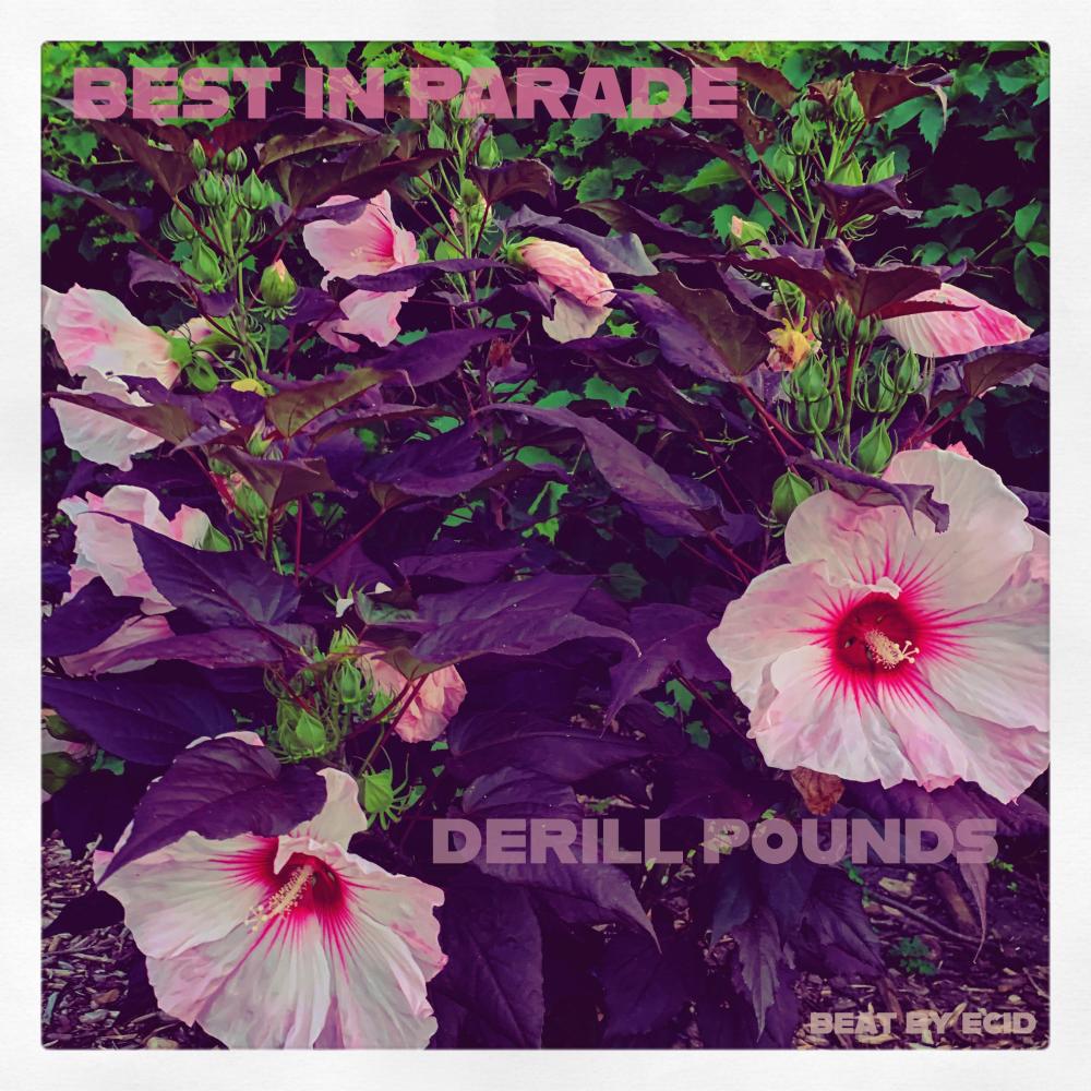 Best In Parade (Explicit)