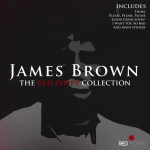 收聽James Brown的Think歌詞歌曲