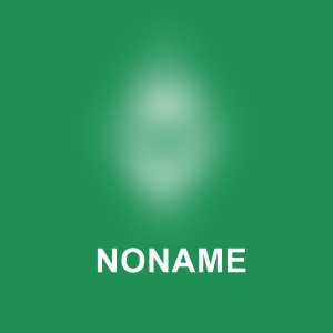ดาวน์โหลดและฟังเพลง NONAME (Explicit) พร้อมเนื้อเพลงจาก Fler