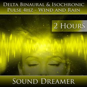 Delta Binaural and Isochronic Pulse 4hz - Wind and Rain (2 Hours)