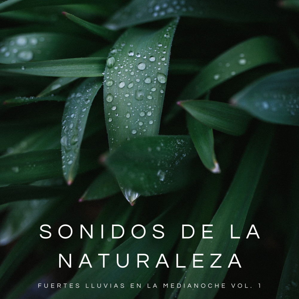 Lluvia Para Dormir