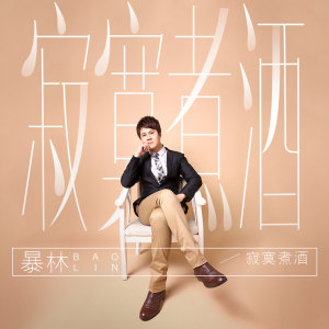 收聽暴林的寂寞煮酒歌詞歌曲