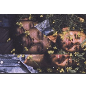 Album Herat & Mind from 