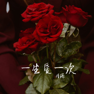 Listen to 一生爱一次 song with lyrics from 清源