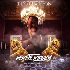 ดาวน์โหลดและฟังเพลง This That Sh!T (Explicit) พร้อมเนื้อเพลงจาก T Dot Jackson