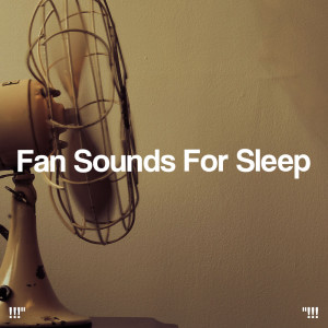 อัลบัม !!!" Fan Sounds For Sleep "!!! ศิลปิน White Noise Baby Sleep