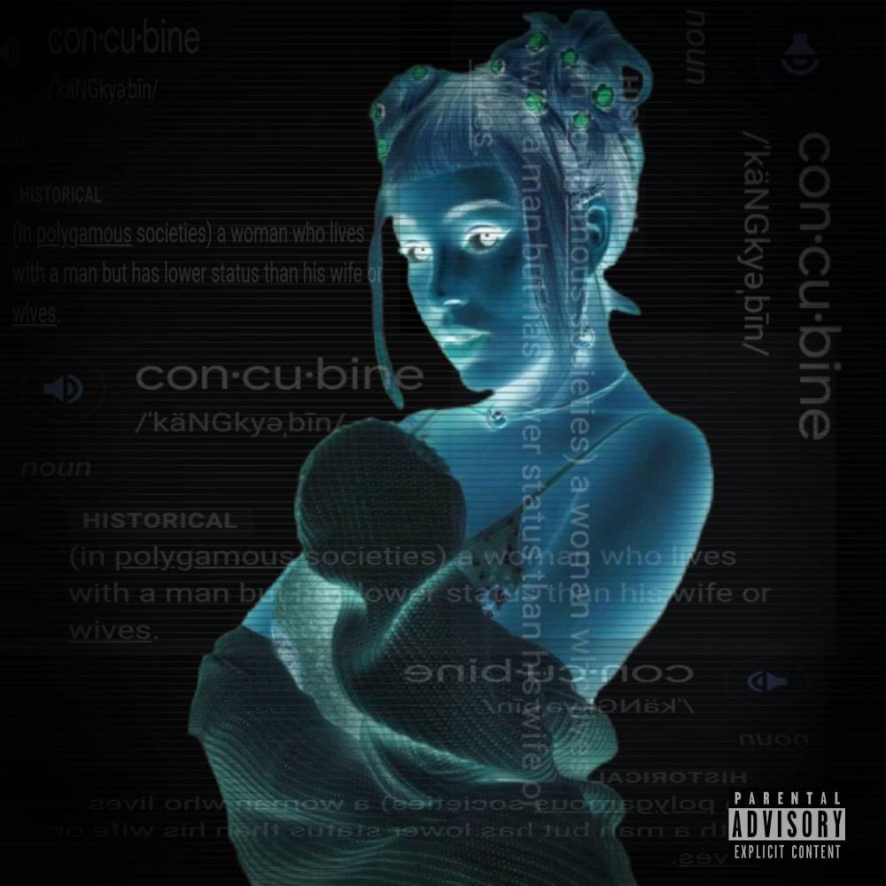 Concubine Flow (feat. HeavyRedd) (Explicit)