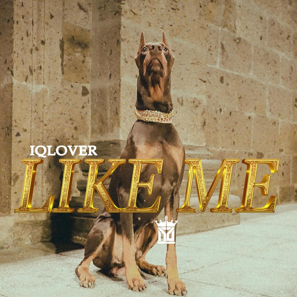 Like Me (Explicit)
