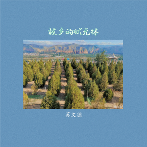 Album 故乡的状元林 from 魏国庆