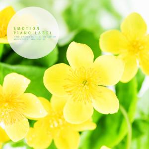 收聽Hyeon Seongyun的Greetings of spring flowers歌詞歌曲