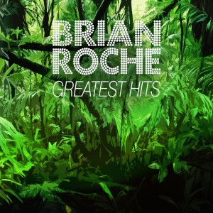 ดาวน์โหลดและฟังเพลง Everything You Want พร้อมเนื้อเพลงจาก Brian Roche