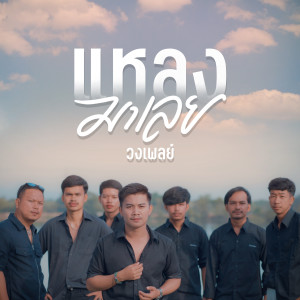 收聽วงเพลย์的แหลงมาเลย (แล้วไซรไม่แหลง)歌詞歌曲