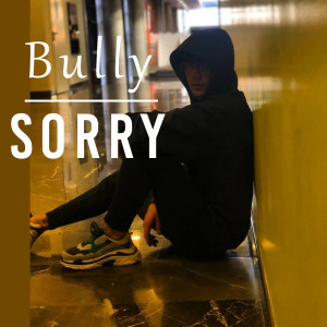 ดาวน์โหลดและฟังเพลง Sorry พร้อมเนื้อเพลงจาก Bully