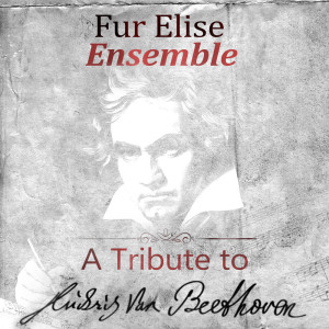 Dengarkan Für Elise (Waltz-bop Version) lagu dari Fur Elise Ensemble dengan lirik
