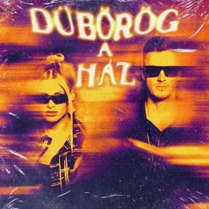 收聽Metzker Viktória的Dübörög a ház (2023 Version - Extended Mix)歌詞歌曲