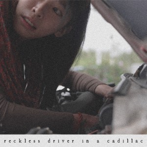 Listen to Reckless Driver in a Cadillac song with lyrics from Niki the Unicorn