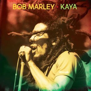 Kaya MP3 | Kaya Lagu Lirik oleh Bob Marley - Download JOOX APP