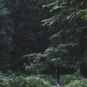 ดาวน์โหลดและฟังเพลง Без тебя พร้อมเนื้อเพลงจาก Pvck