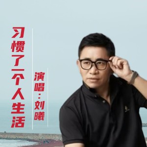 劉曦的專輯習慣了一個人生活