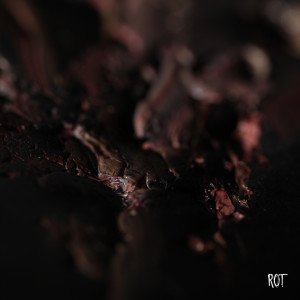 Conjurer的专辑Rot