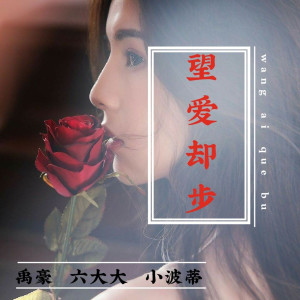 อัลบัม 望爱却步 ศิลปิน 小波蒂