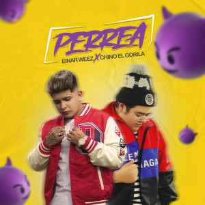 Listen to Perrea (Explicit) song with lyrics from Einar Weez