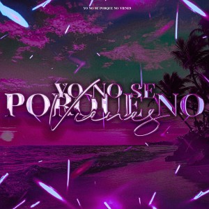 ดาวน์โหลดและฟังเพลง Yo no sé por qué no vienes (Explicit) พร้อมเนื้อเพลงจาก Tote