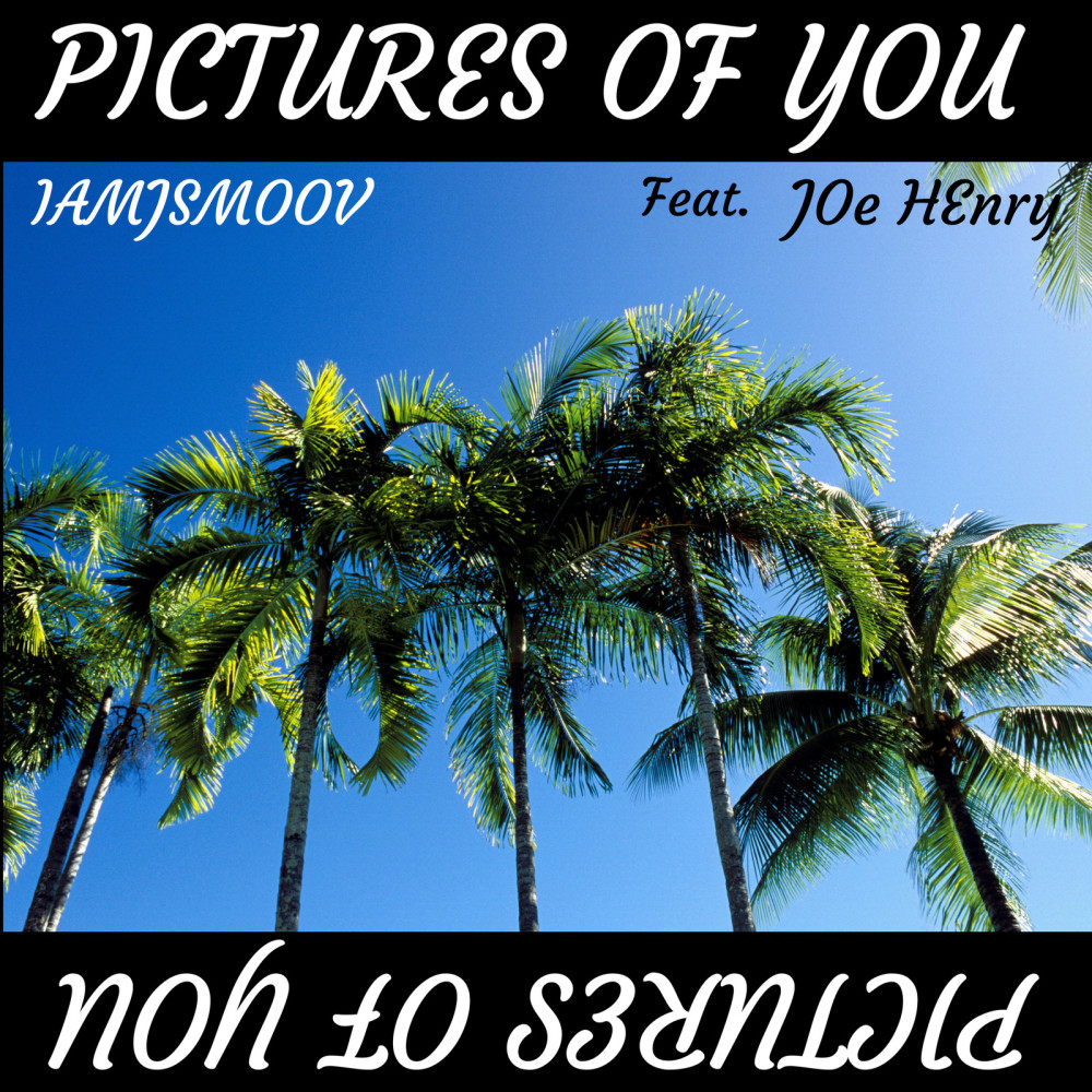 Pictures of You (feat. Joe Henry)